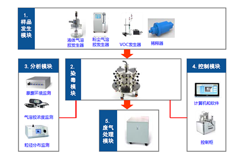 图2 幼动物口鼻吸入露出系统四大？ 