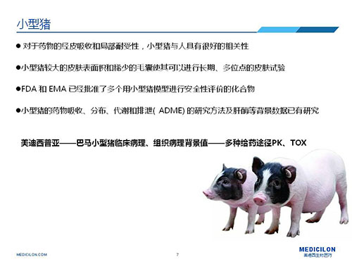 皮肤涂抹试验中，受试动物选择幼型猪更好