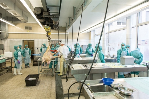 专利绝壁到来，骨质疏松症药物新药研发战况若何？