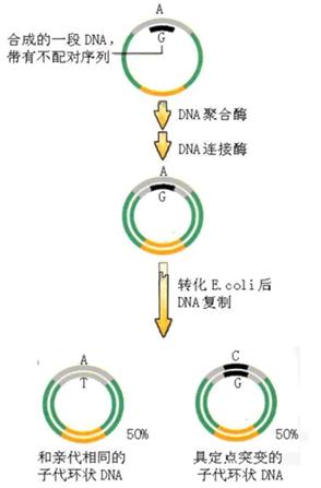 首页| 和记H88集团怡情博娱官网