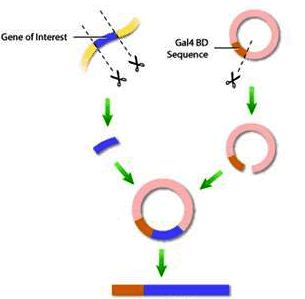 首页| 和记H88集团怡情博娱官网