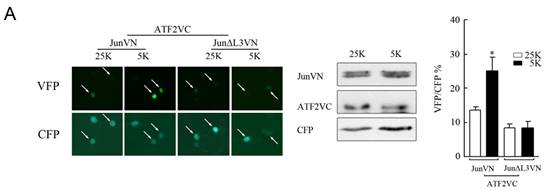 首页| 和记H88集团怡情博娱官网