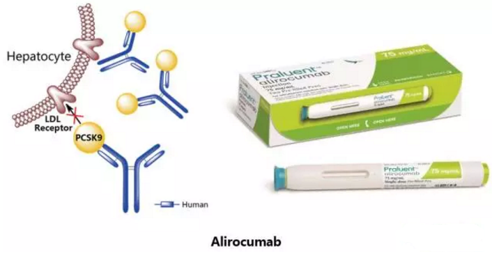 首页| 和记H88集团怡情博娱官网