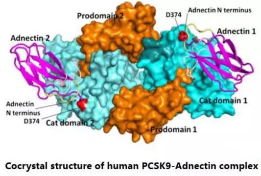 首页| 和记H88集团怡情博娱官网