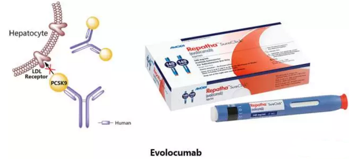 首页| 和记H88集团怡情博娱官网