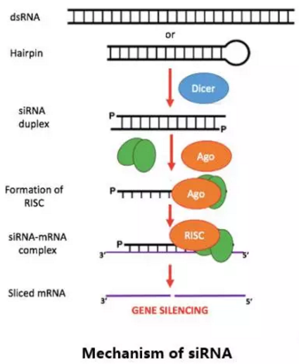 首页| 和记H88集团怡情博娱官网