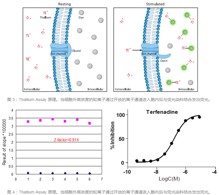 首页| 和记H88集团怡情博娱官网