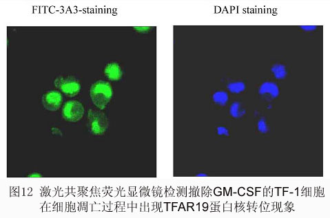 首页| 和记H88集团怡情博娱官网