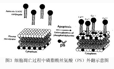 首页| 和记H88集团怡情博娱官网