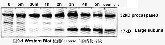首页| 和记H88集团怡情博娱官网