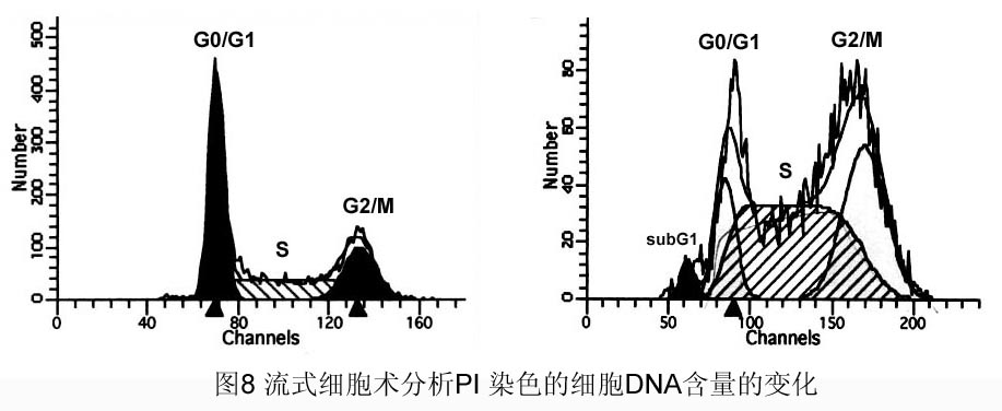 首页| 和记H88集团怡情博娱官网