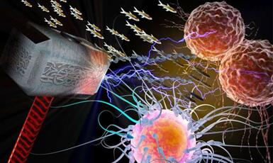 首页| 和记H88集团怡情博娱官网