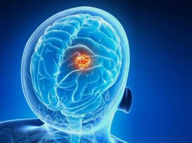 首页| 和记H88集团怡情博娱官网