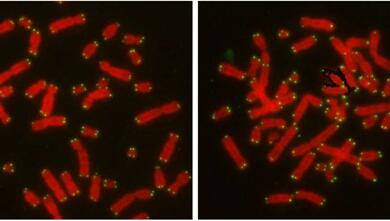 首页| 和记H88集团怡情博娱官网