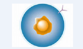 首页| 和记H88集团怡情博娱官网
