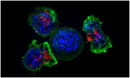 首页| 和记H88集团怡情博娱官网