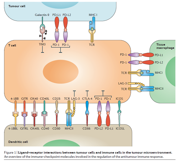 首页| 和记H88集团怡情博娱官网