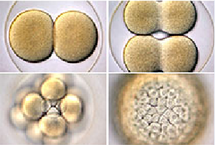 首页| 和记H88集团怡情博娱官网