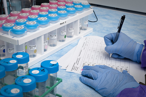 浅谈：创新药物IND申请之药学钻研