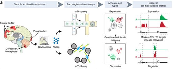 首页| 和记H88集团怡情博娱官网