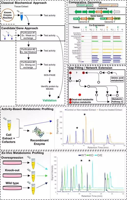 首页| 和记H88集团怡情博娱官网