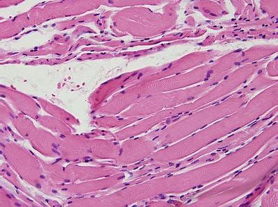 首页| 和记H88集团怡情博娱官网