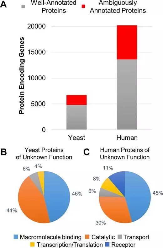 首页| 和记H88集团怡情博娱官网