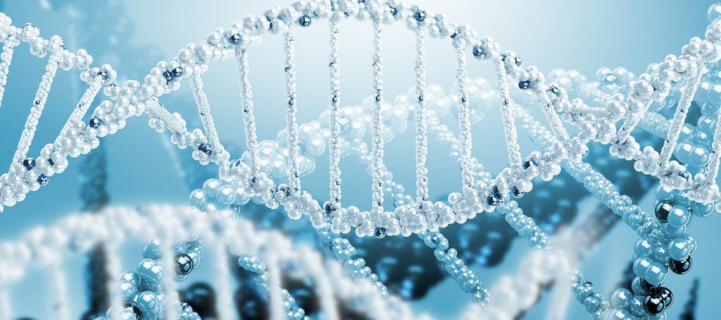 浅谈和记H88抗体药物PK分析步骤学设计的思考重点