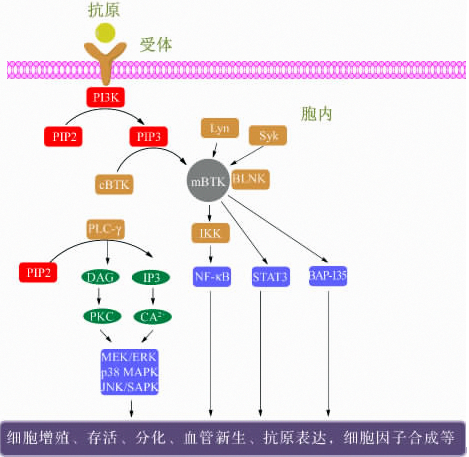 首页| 和记H88集团怡情博娱官网