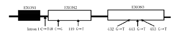 首页| 和记H88集团怡情博娱官网