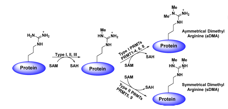 首页| 和记H88集团怡情博娱官网