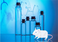 和记H88-您梦想的DMPK钻研同伴