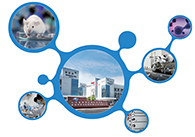 科创板首家CRO企业和记H88获准注册