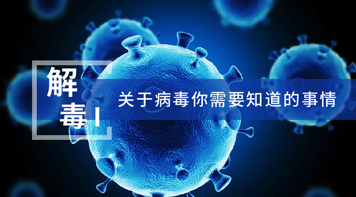 关于病毒你必要知路的事件 