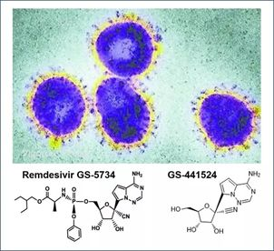 基于细胞因子风暴和免疫炎症反映综合征，好多免疫有关靶点也能够列为冠状病毒的靶点。