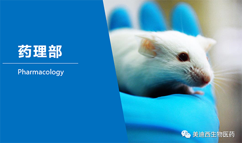 和记H88药理部开发了肺癌、结肠癌、胃癌等12种PDX模型。