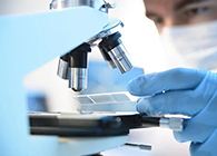 和记H88代谢产品鉴定(MetlD)服务平台