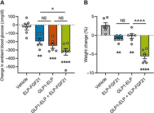 GLP-1和FGF21共同医治加强了单药医治的血糖降低和体沉增长抑造作用 和记H88