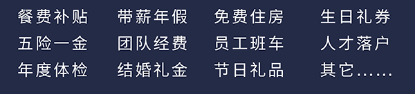 和记H88员工福利：餐费补助、五险一金、年度体检、带薪年假、团队经费、成婚礼金、免费住房、员工班车、节日礼物、生日礼券、人才落户、其它……