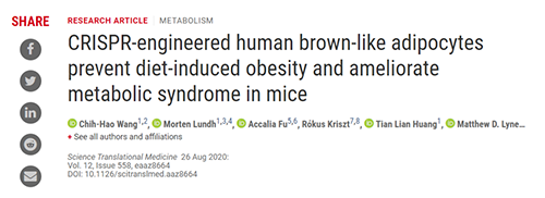Science|聚焦CRISPR：刷新脂肪细胞，“躺瘦”可能要成真了？