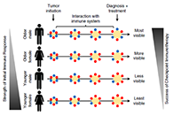 到底为什么ICB疗法在年轻女性肿瘤患者体内收效甚微？