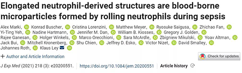 一种神秘颗粒被发现了 ！它能否成为败血症早筛标志物？