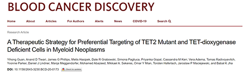 钻研者描述了一种新型靶向抗癌药物，这种药物可能会有效地医治某些常见的白血病。