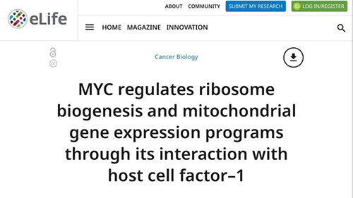 能够“消融”肿瘤的蛋白质，你肯定没有听说过！