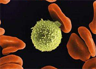 Science子刊：一种FDA核准的抗腹泻药物可有效匹敌化疗的耐药性