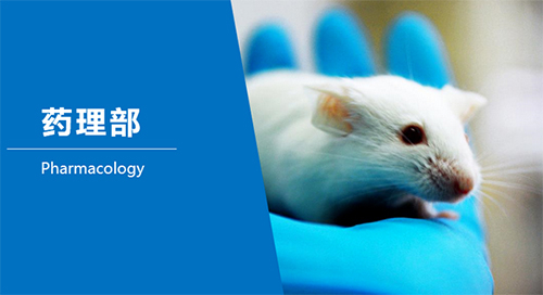 和记H88临床前钻研-药理部