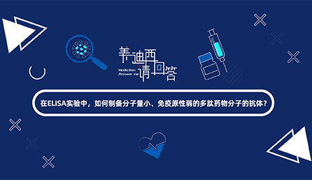 在ELISA尝试，若何造备分子量幼、免疫原性弱的多肽药物分子的抗体？