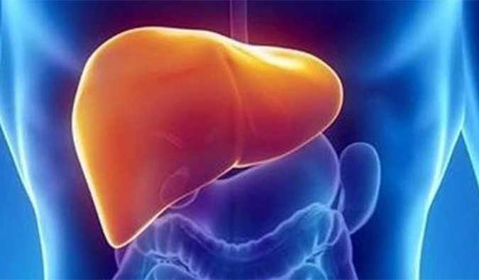 【和记H88助力】NASH领域新进展！海普丁HPD001即将在美启动临床试验