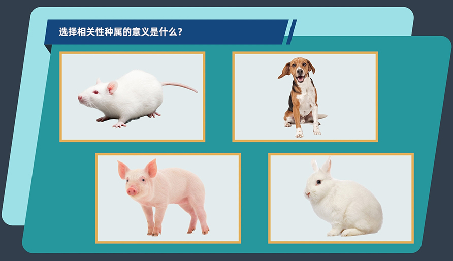 选择有关性种属的意思是什么