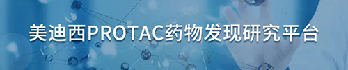 和记H88PROTAC药物发现钻研平台.png
